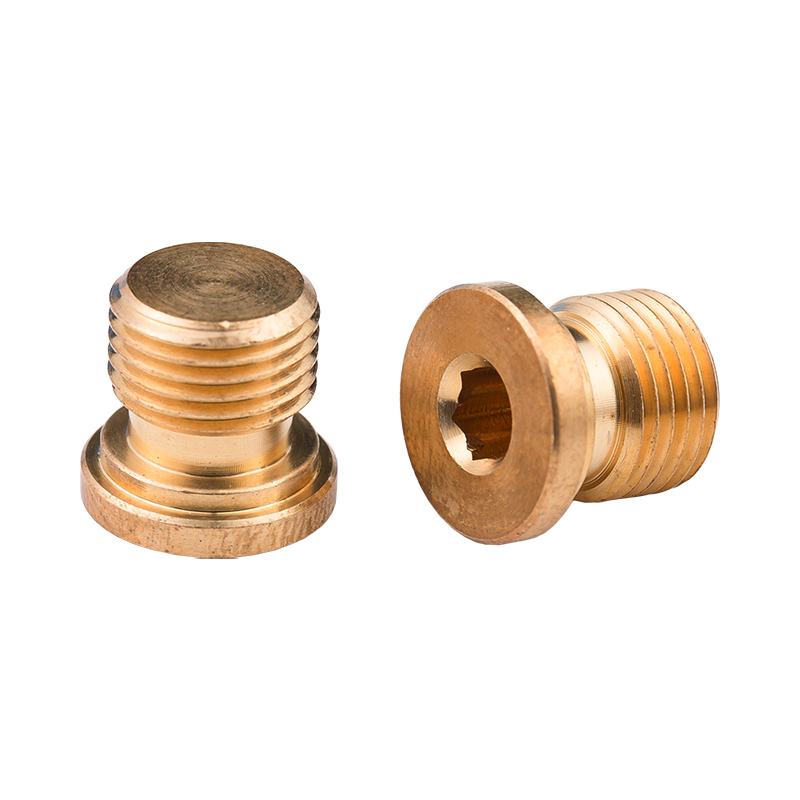 Non-Standard Copper Hexagon Socket Head Sealing Bolts