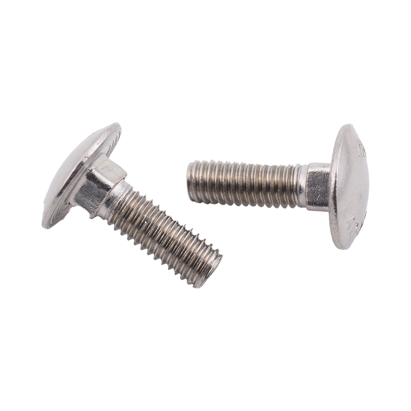 Stainless Steel Round Head Square Neck Bolts